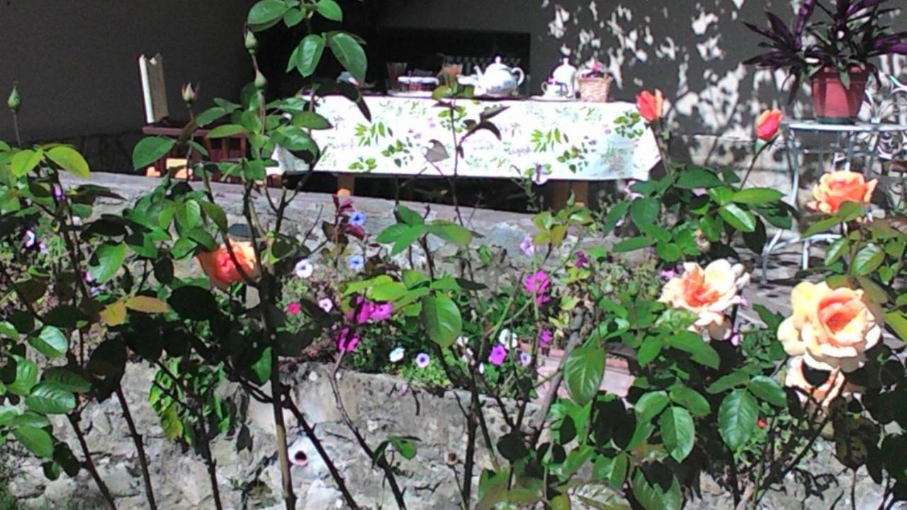 Grognardo Casa Ciosse B&B 외부 사진